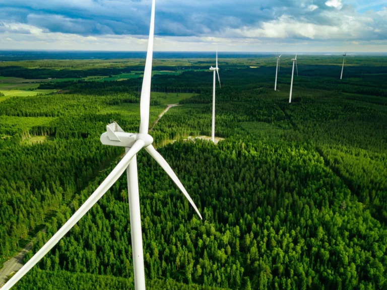 windmills