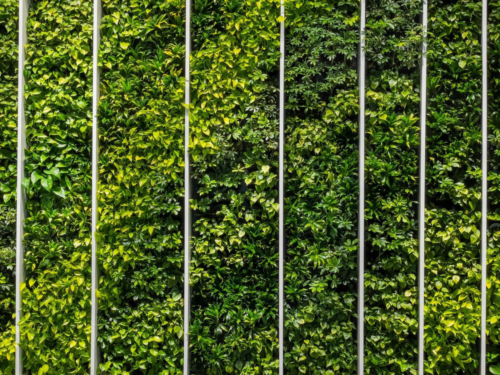 EXSA | Bespoke Wheeled Energy Solutions