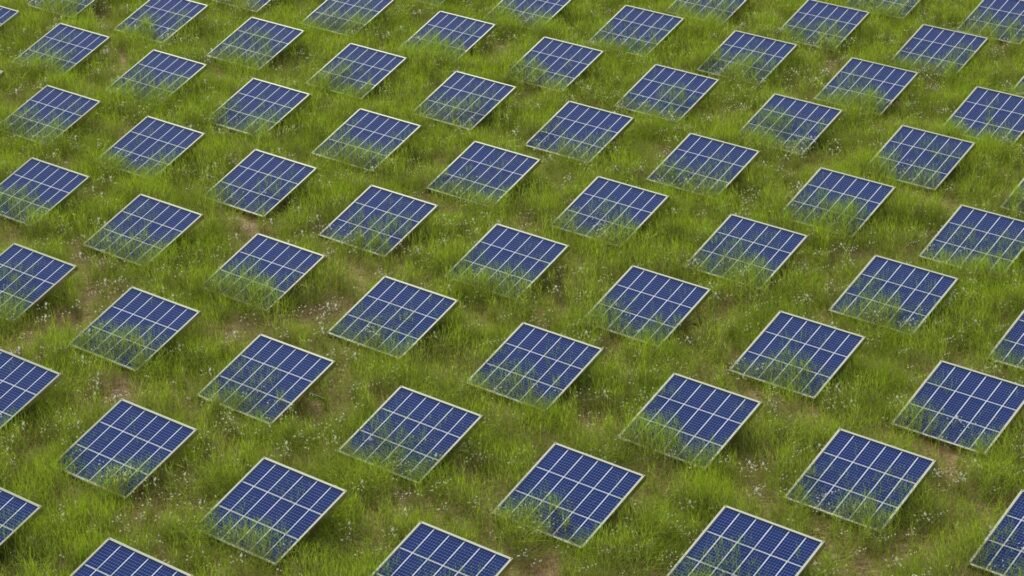 A field of solar panels