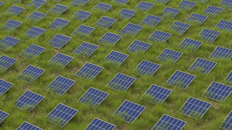 A field of solar panels